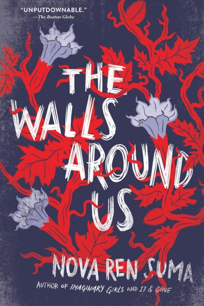 The walls around us / Nova Ren Suma.