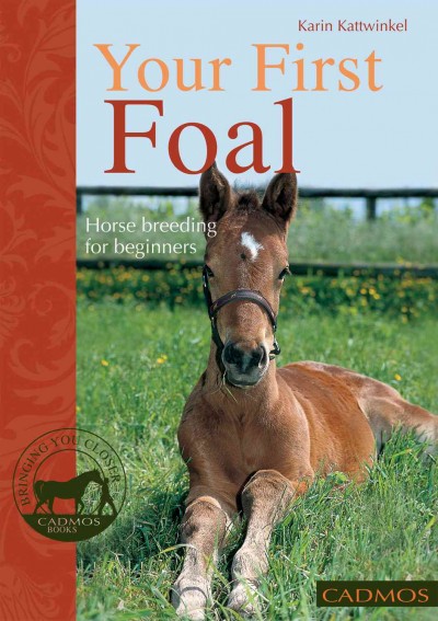 Your first foal : horse breeding for beginners / Karin Kattwinkel.