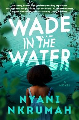 Wade in the water : a novel / Nyani Nkrumah.