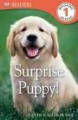 Surprise puppy!  Cover Image