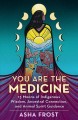 Go to record You are the medicine : 13 moons of indigenous wisdom, ance...