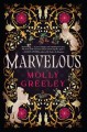 Marvelous : a novel  Cover Image