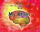 My Brain  Cover Image